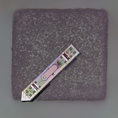 Cornell researchers create tiny neural implant
