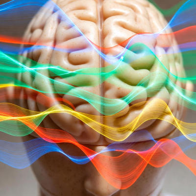 Brain waves shape thought and awareness, scientist suggests