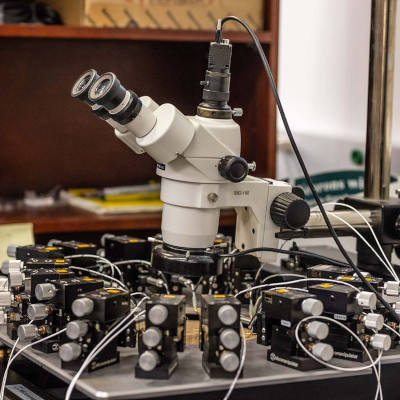 Neuromorphic computing prototype shows promise for efficient learning