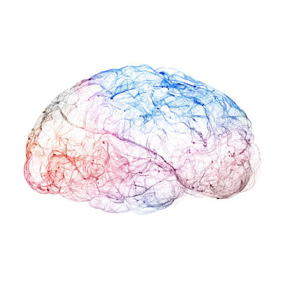 Scientists achieve high-resolution 3D brain mapping with X-rays