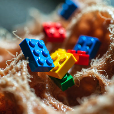 Programmable materials that change like muscles