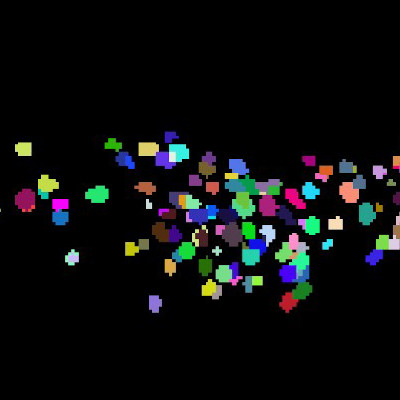 New artificial intelligence tools help scientists track brain cells in moving animals