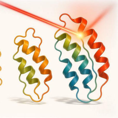 Optovolution: using light to evolve dynamic proteins