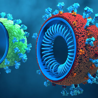 Improved human cells boost production of gene-editing delivery vehicles