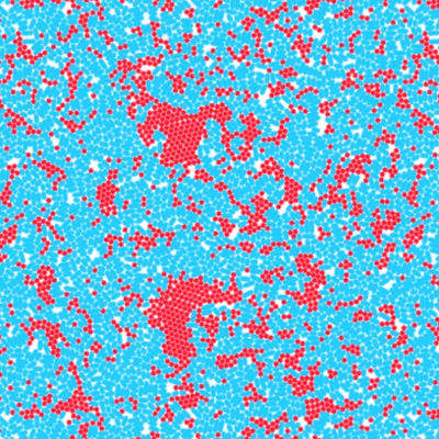Physicists find new route to phase separation through growing cell colonies